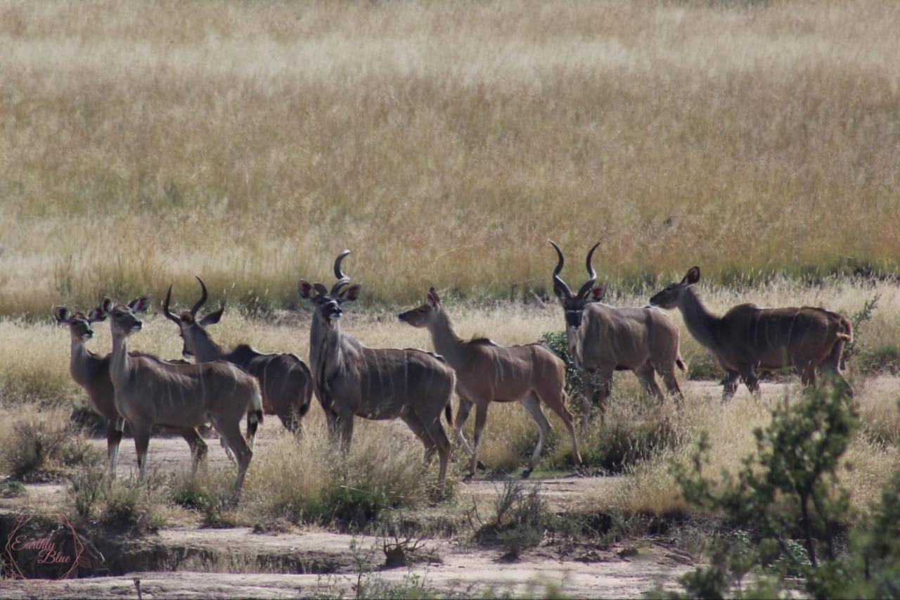 Letsatsi Game Lodge Smithfield Eksteriør billede