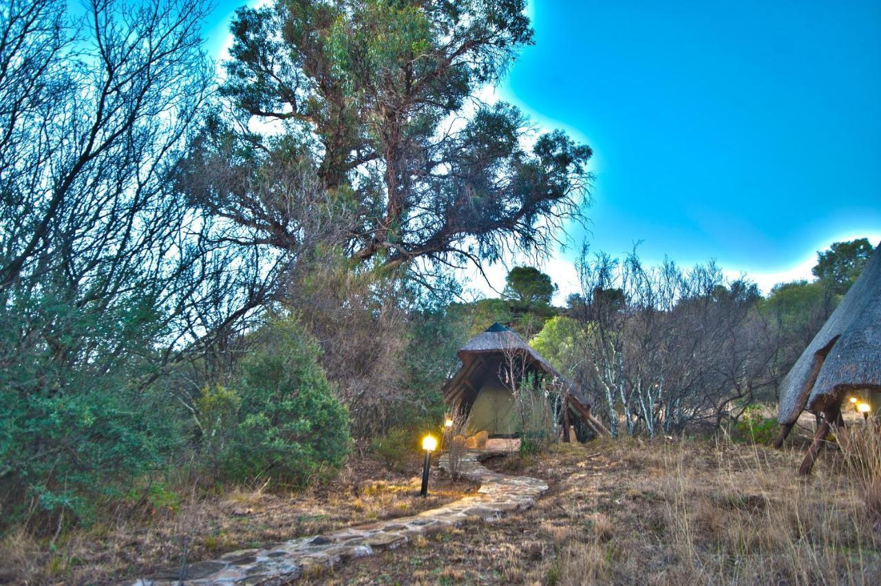 Letsatsi Game Lodge Smithfield Eksteriør billede