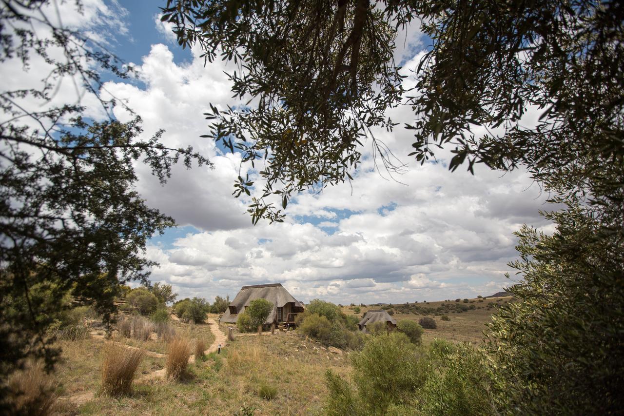 Letsatsi Game Lodge Smithfield Eksteriør billede